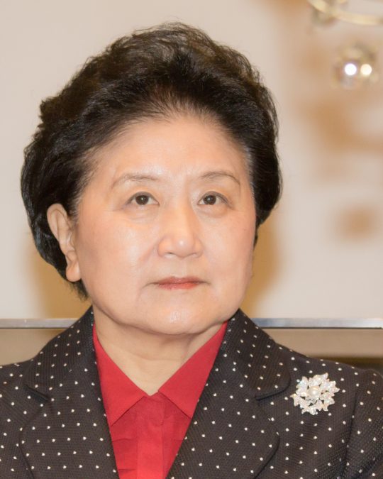 liu yandong 1793184541