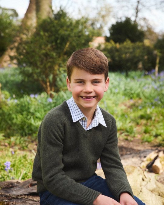Prince Louis of Wales 1 prince louis of wales 1793213320