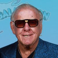ric flair 1791161266