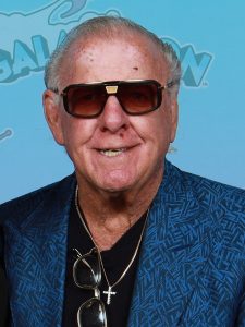 ric flair 1791161266