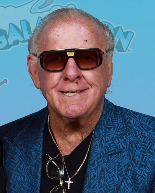 Ric Flair 9 ric flair 1791161266