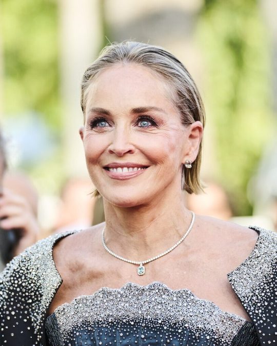 sharon stone 1793310526