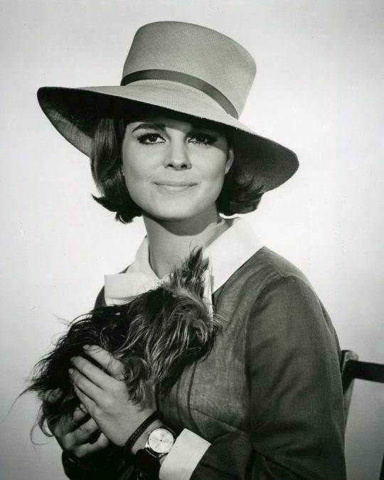 susan saint james 1793108914