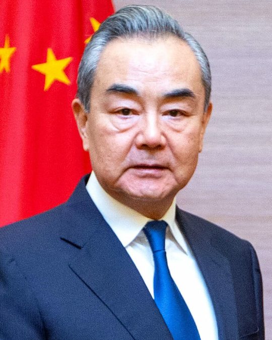 Wang Yi 12 wang yi 1792151317
